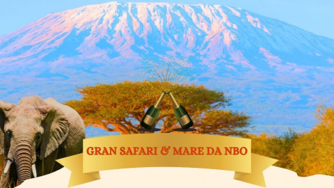 2025 africa gran safari e mare natale e capodanno IN1