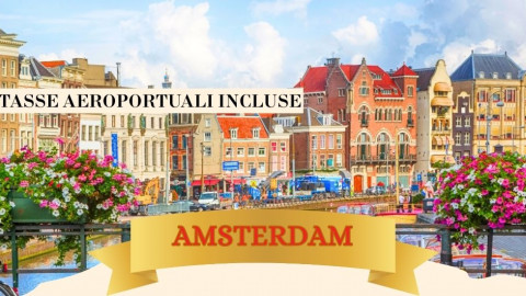 2025 amsterdam immacolata 5 12 IN1