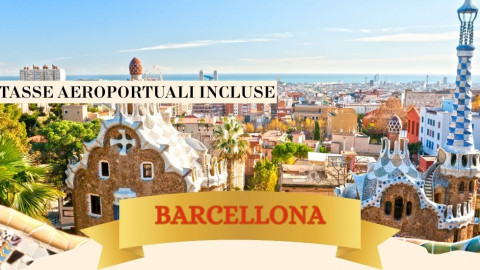 2025 barcellona immacolata 5 12 IN1