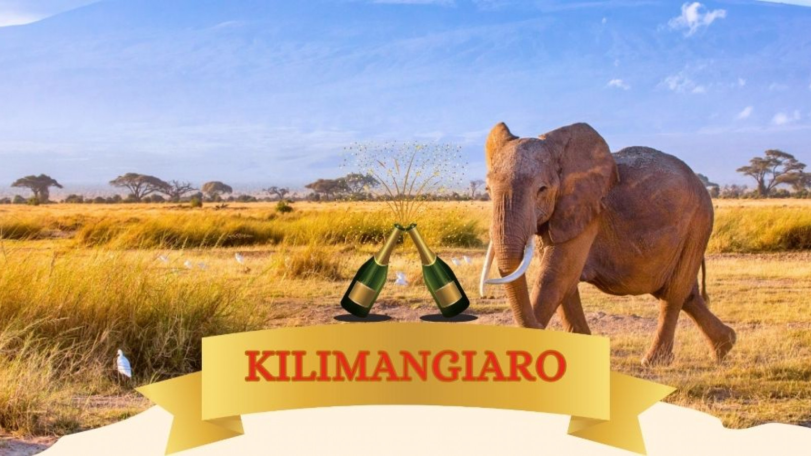 2025 africa kilimangiaro e mare natale e capodanno IN1