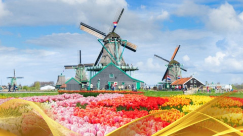 2026 olanda amsterdam a richiesta IN1