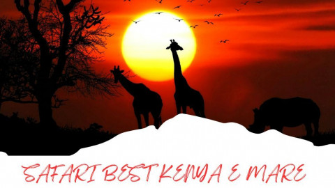 2025 africa best kenia e mare 25 IN1
