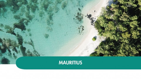 2026 mauritius capodanno T 29 12 IN1