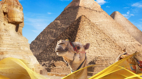 2026 cairo city break 29 05 N IN1