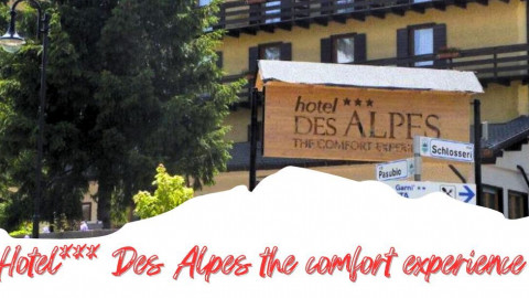 2025 trentino estate des alpes IN1