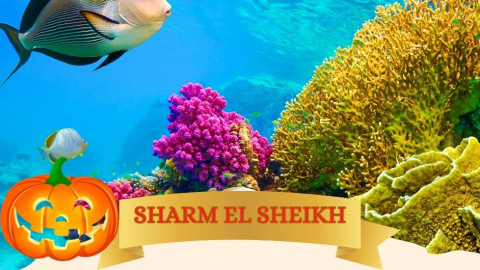 2025 sharm el sheikh festivita milano halloween IN1