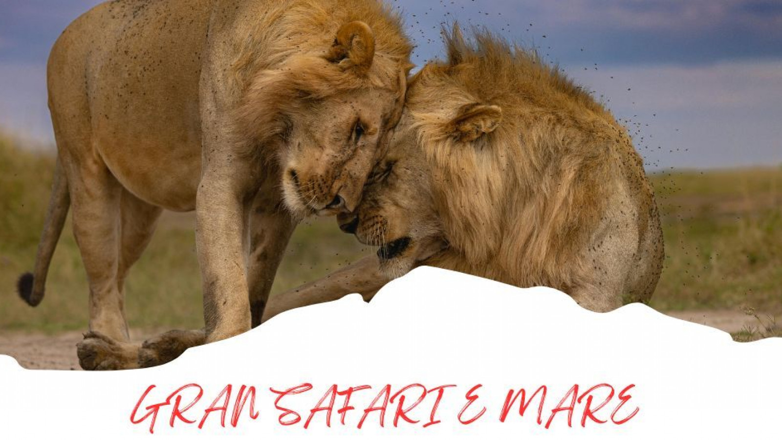 2025 africa gran safari e mare 25 IN1