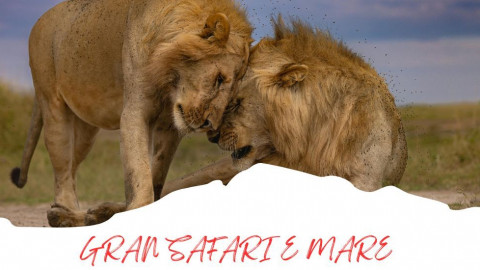2025 africa gran safari e mare 25 IN1