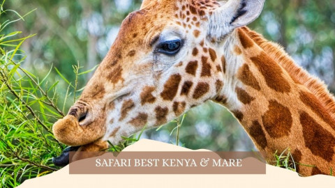 2025 africa best kenia e mare gennaio marzo 26 IN1