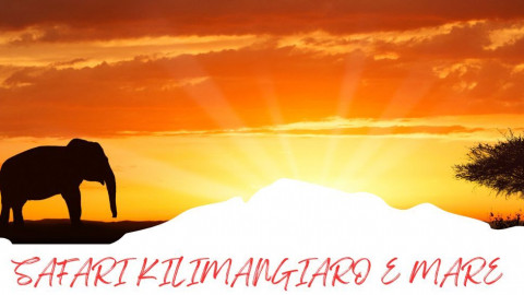 2025 africa kilimangiaro e mare 2025 IN1