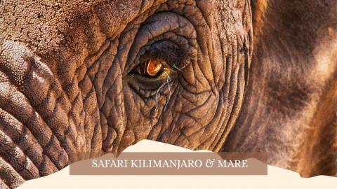 2025 africa kilimangiaro e mare gennaio marzo 2025 IN1