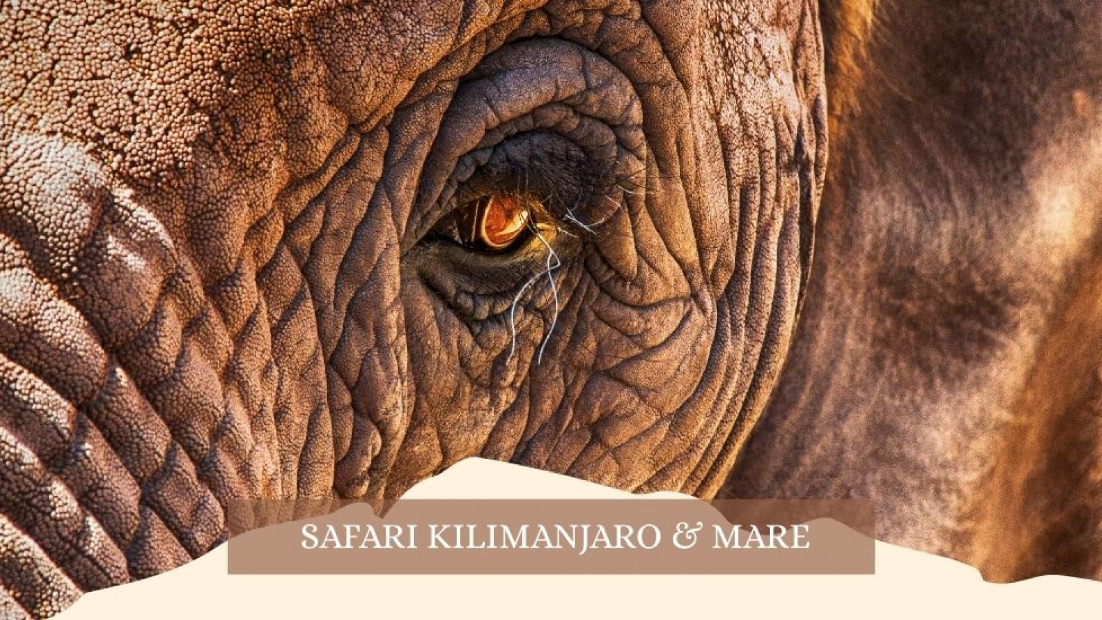 2025 africa kilimangiaro e mare gennaio marzo 2025 IN1
