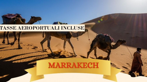 2025 marrakech immacolata 5 12 25 IN1