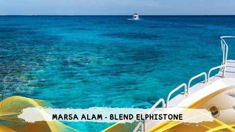 2026 marsa alam da roma blend T IN1