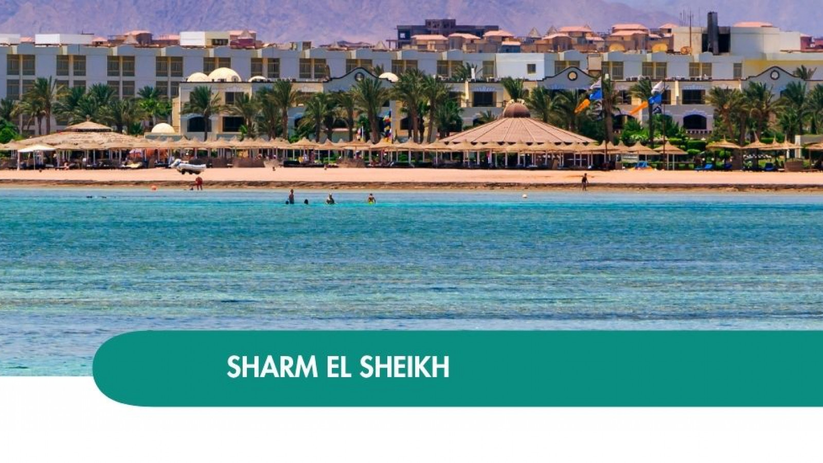 2026 sharm el sheikh queen immacolata T IN1