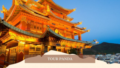 2026 cina tour panda 28 04 IN1
