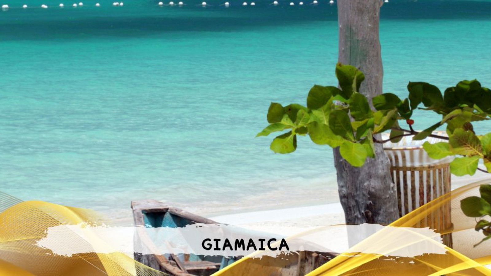 2026 giamaica 14 agosto T IN1