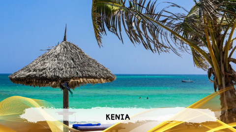 2026 kenya 9,14 08 T IN1