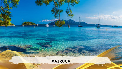 2026 maiorca 11 agosto napoli T IN1