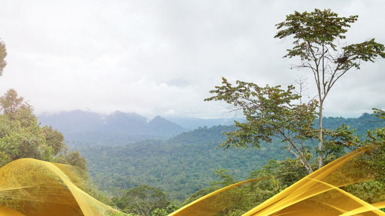 2026 malesia tour mare e altopiani 9 08 O IN1