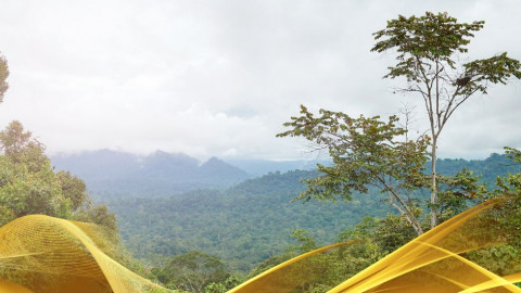 2026 malesia tour mare e altopiani 9 08 O IN1