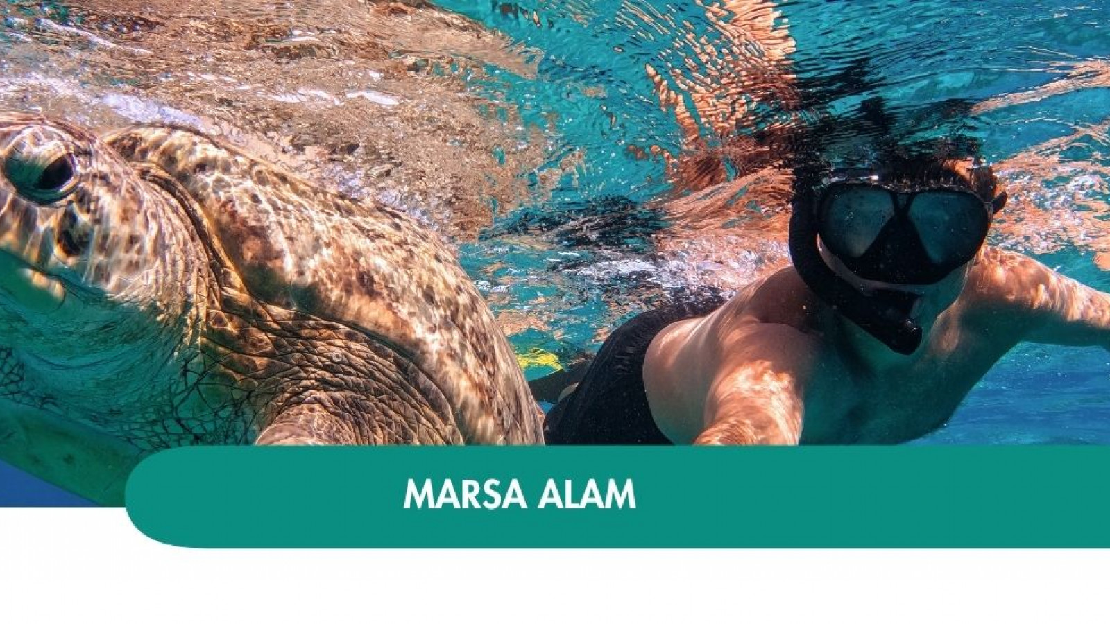 2026 marsa alam halloween T IN1