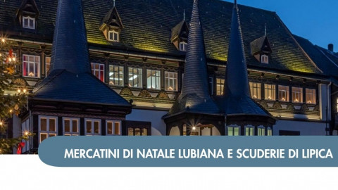 2026 W mercatini trieste  lubiana e scuderie di lipica 05 12 alessandra
