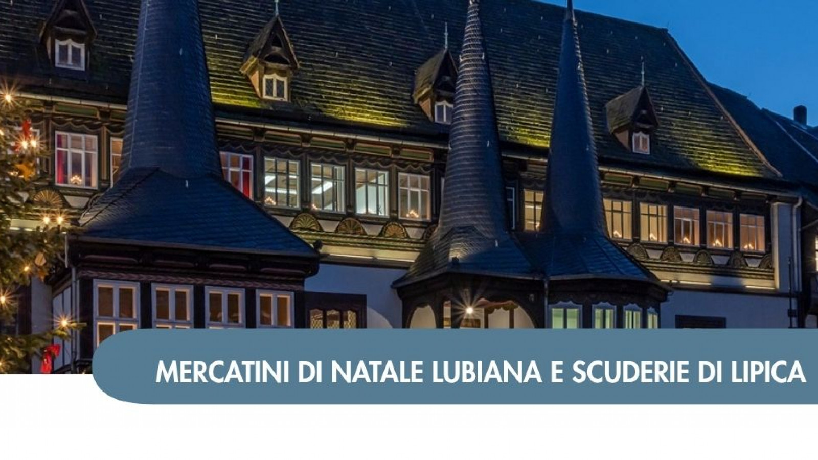 2026 W mercatini trieste lubiana e scuderie di lipica 05 12 alessandra