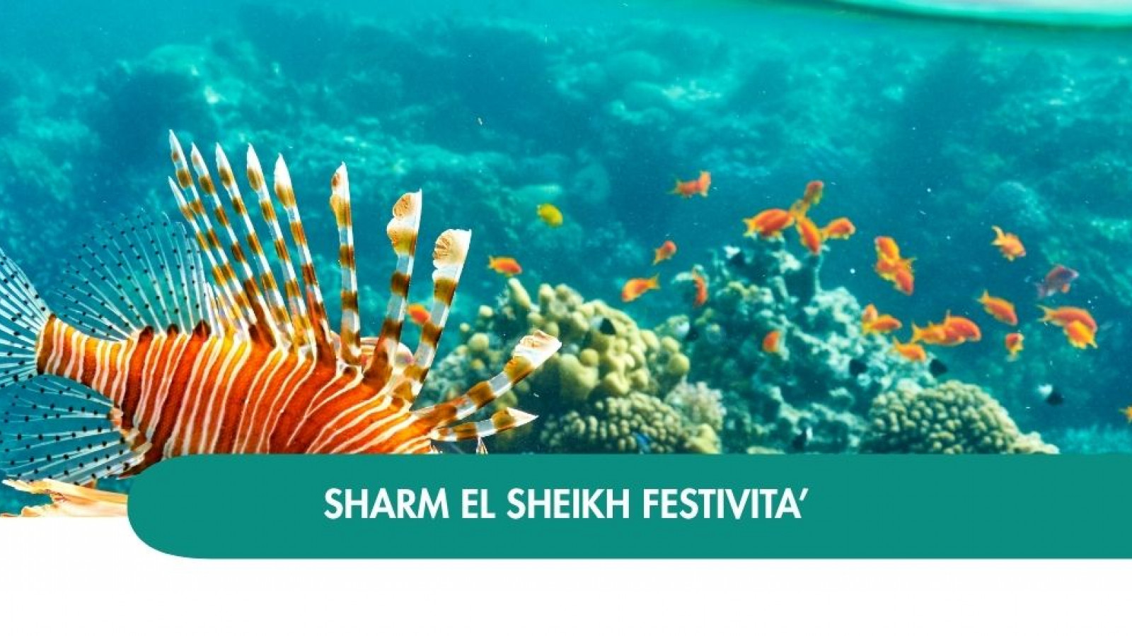 2026 sharm el sheikh queen festivita T IN1