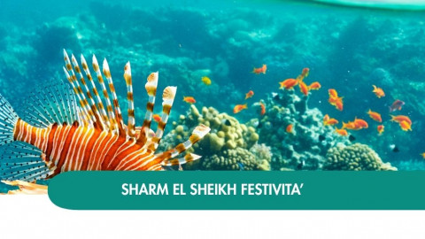 2026 sharm el sheikh queen festivita T IN1