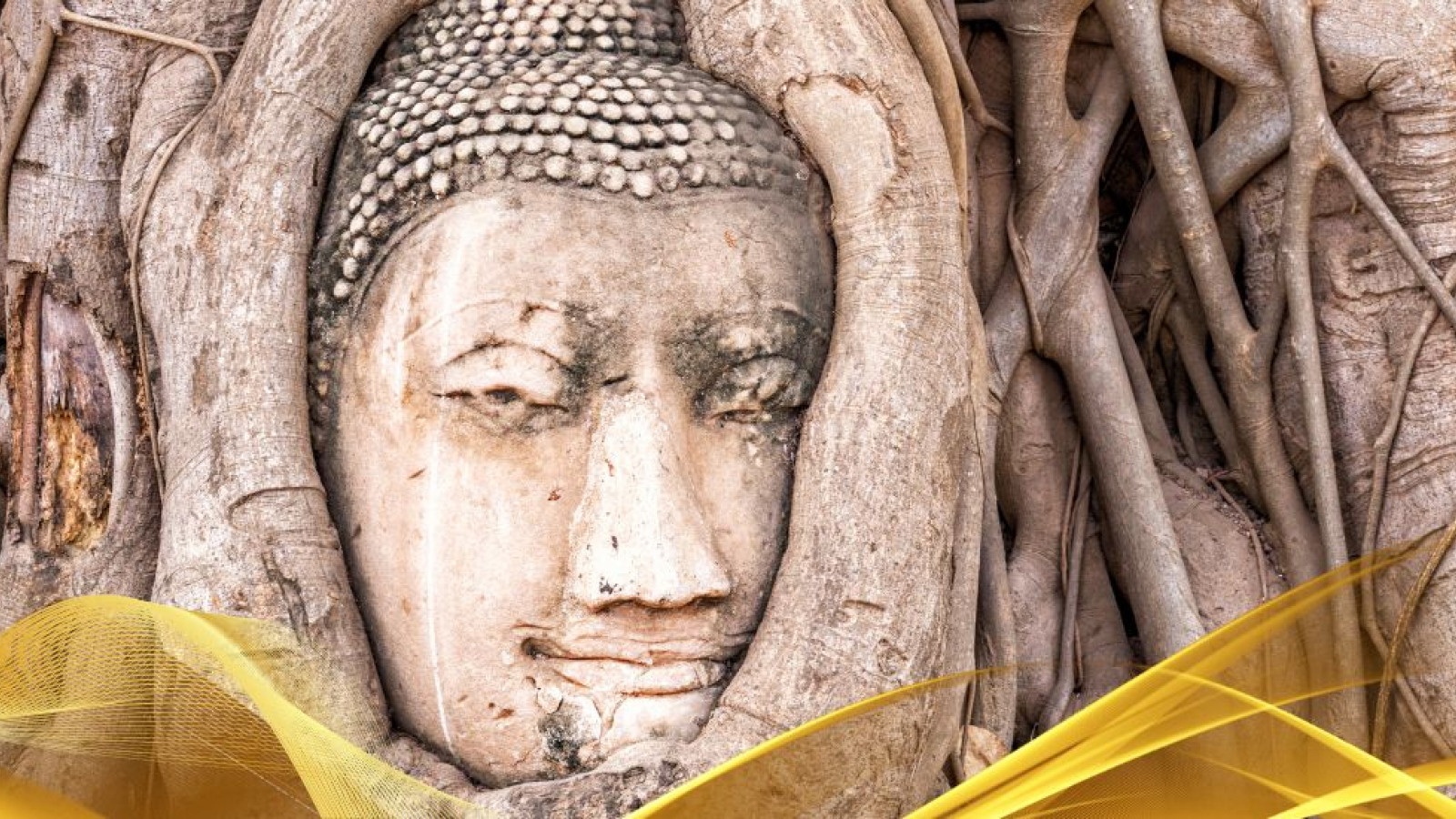 2026 thailandia antiche capitali 7 08 O IN1