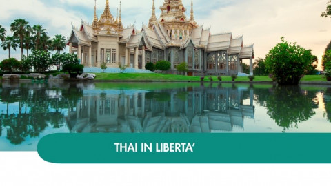 2026 thailandia halloween T IN1