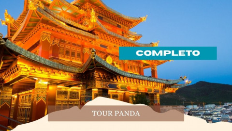2026 cina tour panda 28 04 IN1