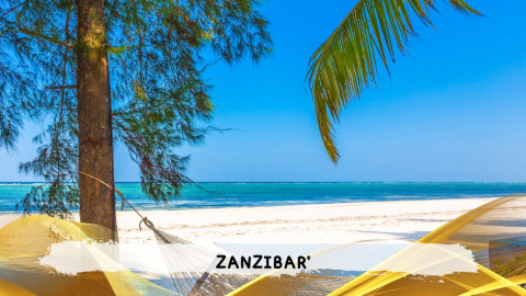 2026 zanzibar 11 08 T IN1